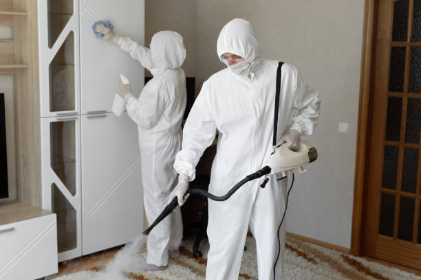 Best Residential Mold Removal  in Union City, MI