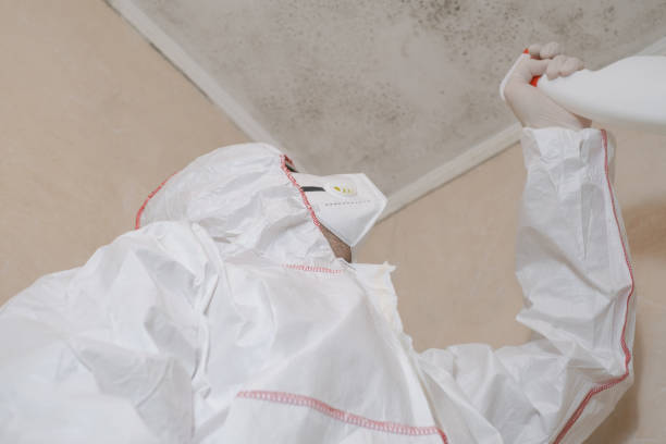 Office Mold Removal Services in Union City, MI