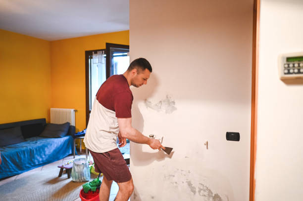 Mold Removal Process in Union City, MI